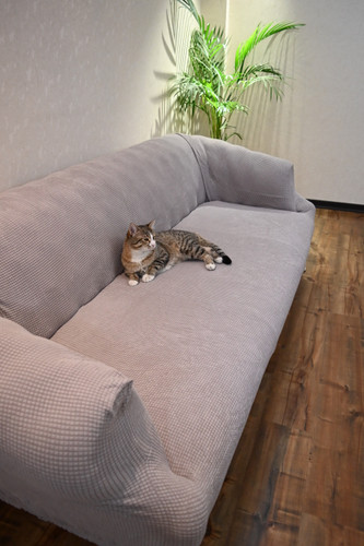 کاور مبل ۸ نفره کشی خاکستری دوستدار حیوانات